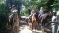 /album/rancho-bom-jesus/a10325272-1424162431206147-5450612945795770869-n-jpg/