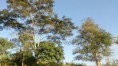 /album/rancho-bom-jesus/a10346217-1427308967558160-6612074318543467063-n-jpg/